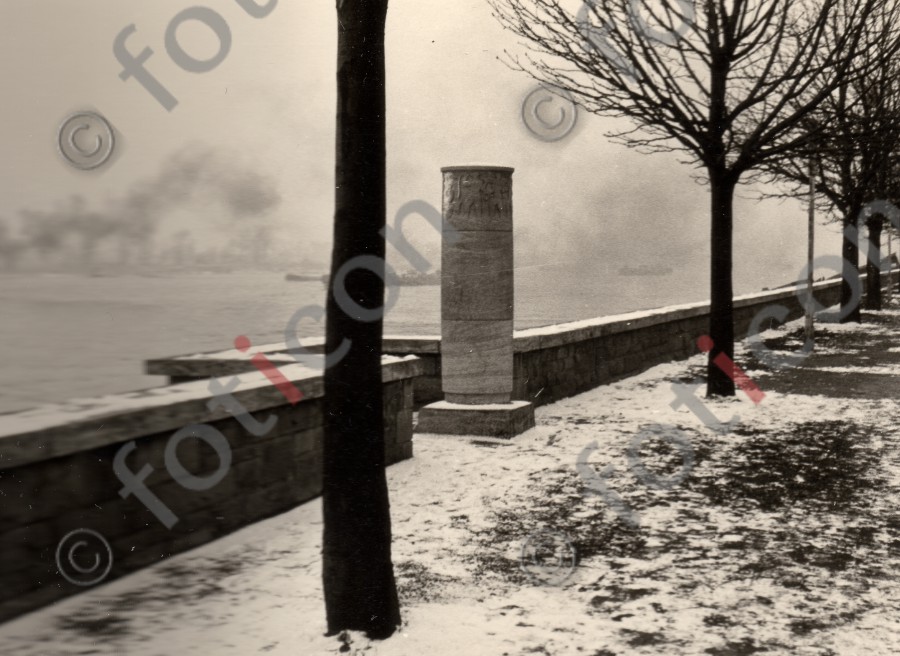 Rheinpark (foticon-duesseldorf-0019.jpg)